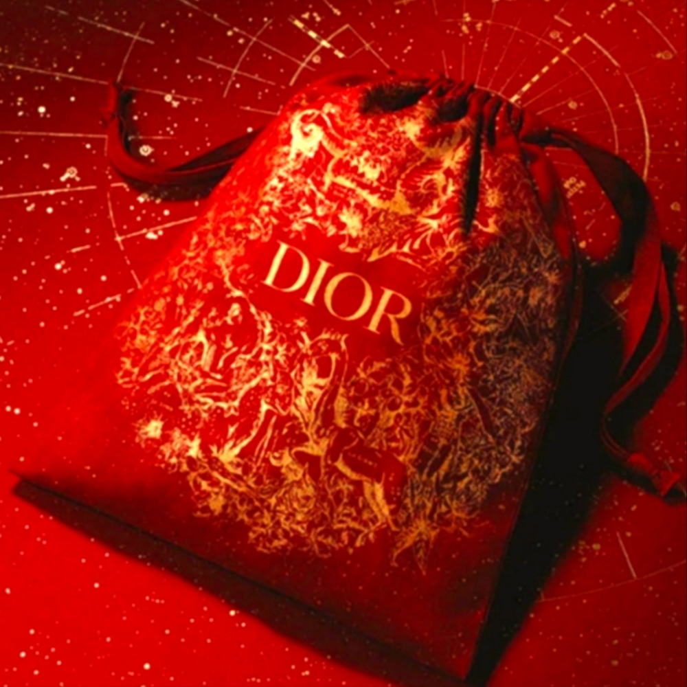 Dior Pouch